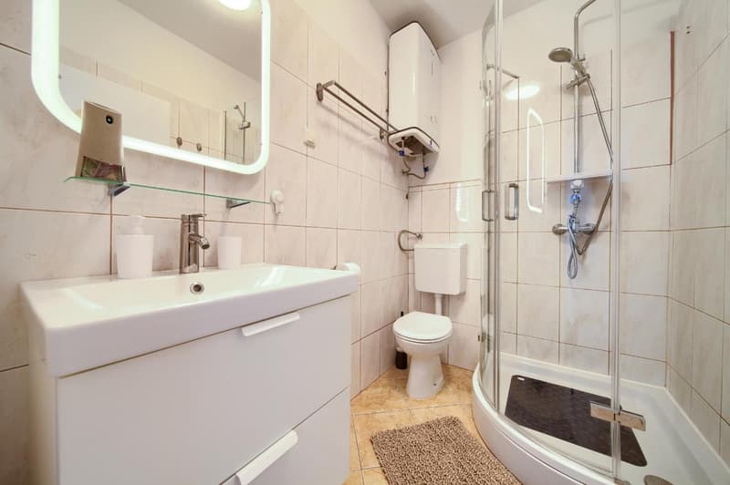 Bathroom with shower, small apartment